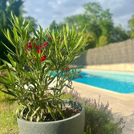 לינה וארוחת בוקר Cosy Ben & Nad Proches Du Puy Dufou Saint-Aubin-des-Ormeaux